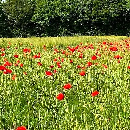 Tendance Campagne D'hotes Bed and Breakfast Marillac